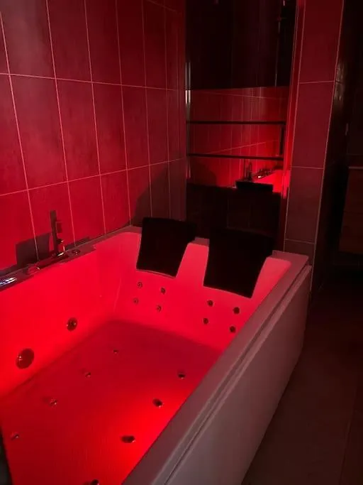 Appartement Mozart Cosy Love Room Chasse-sur-Rhône